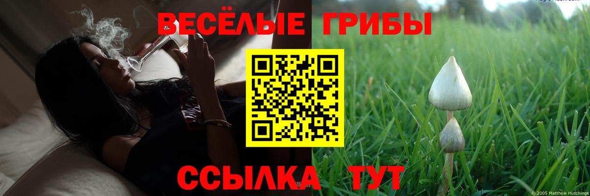 Екатеринбург  Псилоцибиновые грибы ЛСД  Вход с VPN 